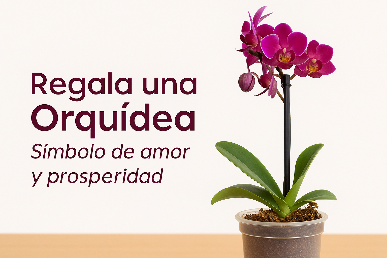 Orquídeas